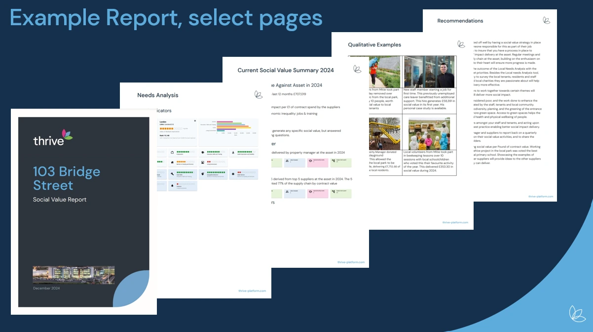 Real Estate Sample Report Pages Thrive Sample Report Builder